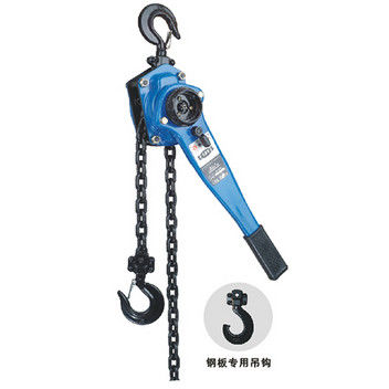Transmission Line Tool Rated Load Lifting Capacity 9Ton Ratchet Lifting Chain Lever Hoist Pulley